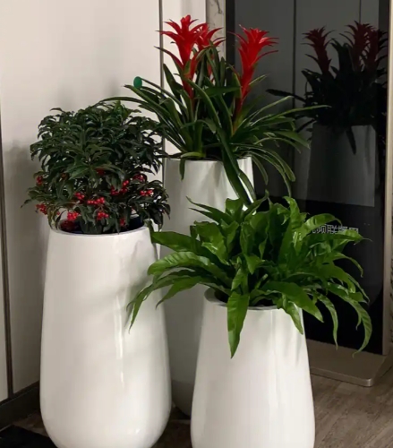 花卉租赁