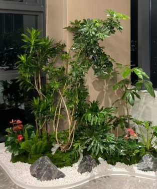 植物租赁